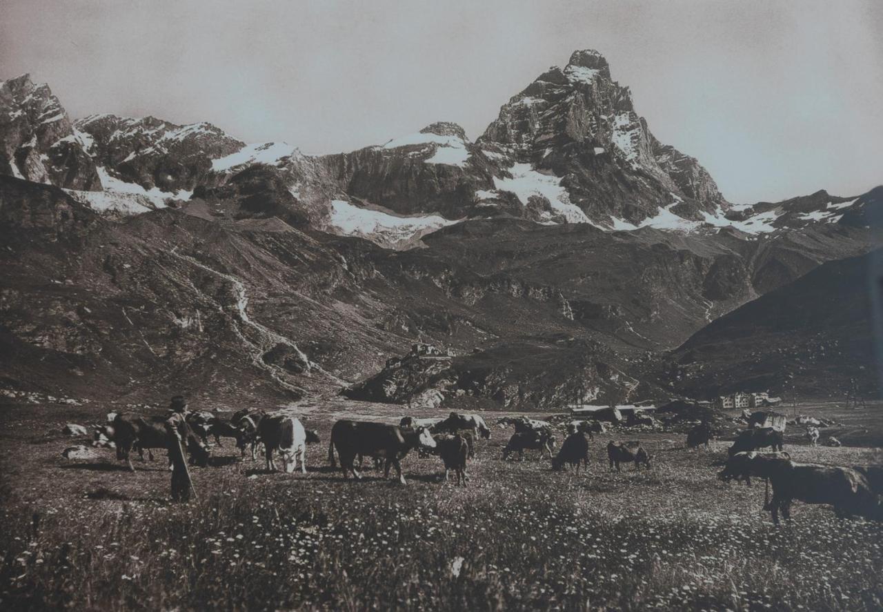 Hotel Meuble' Joli Breuil-Cervinia Extérieur photo